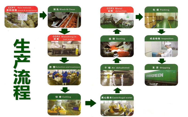 脱水蔬菜 五谷杂粮粉 果蔬粉 生产流程.jpg