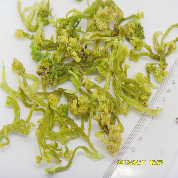 脱水蔬菜 五谷杂粮粉 果蔬粉 脱水蔬菜 五谷杂粮粉 果蔬粉