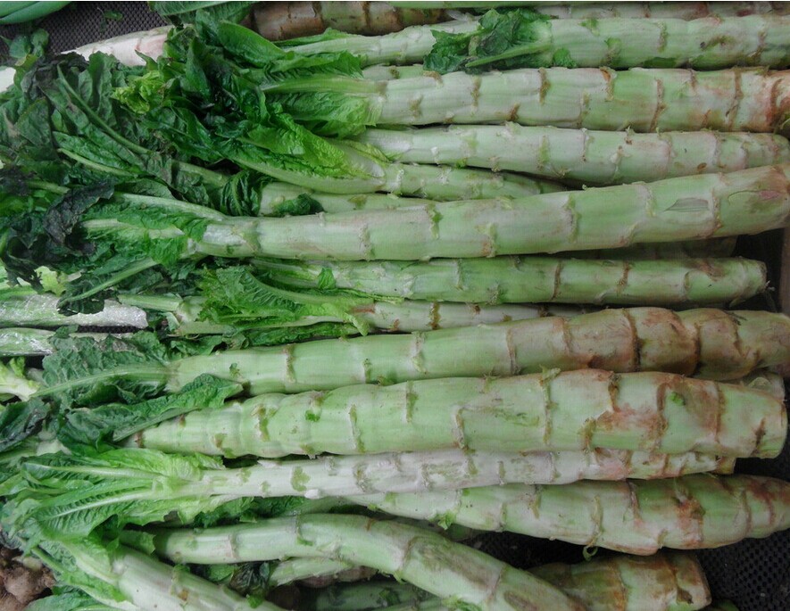 脱水蔬菜 五谷杂粮粉 果蔬粉 脱水蔬菜 五谷杂粮粉 果蔬粉