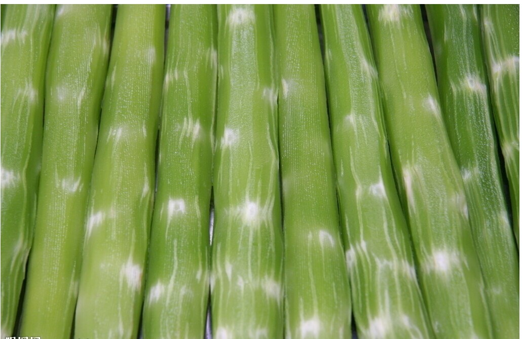 脱水蔬菜 五谷杂粮粉 果蔬粉 脱水蔬菜 五谷杂粮粉 果蔬粉