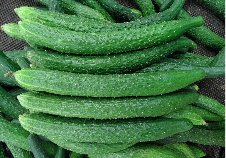 脱水蔬菜 五谷杂粮粉 果蔬粉 脱水蔬菜 五谷杂粮粉 果蔬粉