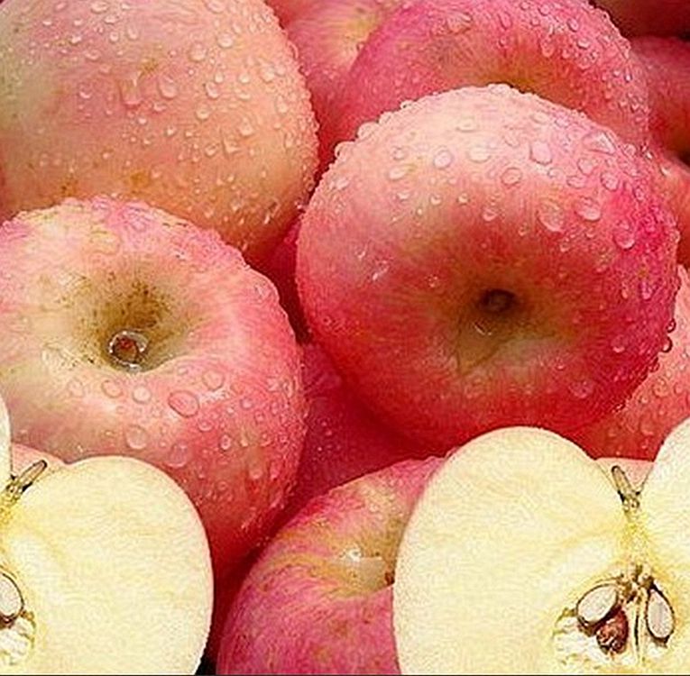 脱水蔬菜 五谷杂粮粉 果蔬粉 脱水蔬菜 五谷杂粮粉 果蔬粉