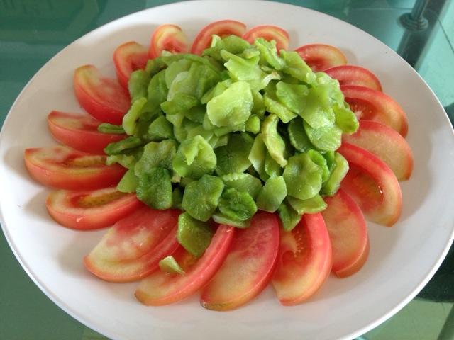 脱水蔬菜 五谷杂粮粉 果蔬粉 脱水蔬菜 五谷杂粮粉 果蔬粉