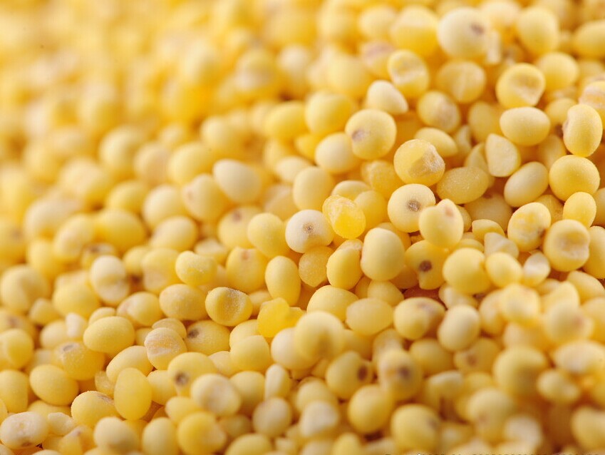 脱水蔬菜 五谷杂粮粉 果蔬粉 脱水蔬菜 五谷杂粮粉 果蔬粉