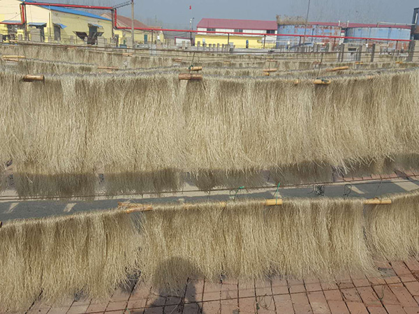 红薯粉条生产批发选购方法