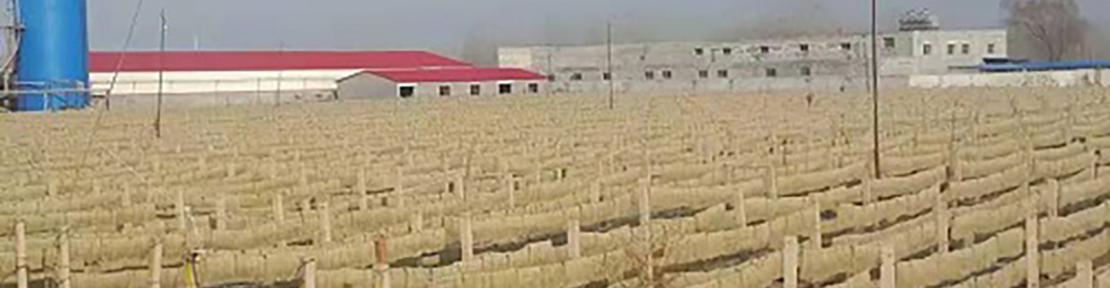 永利平台app下载