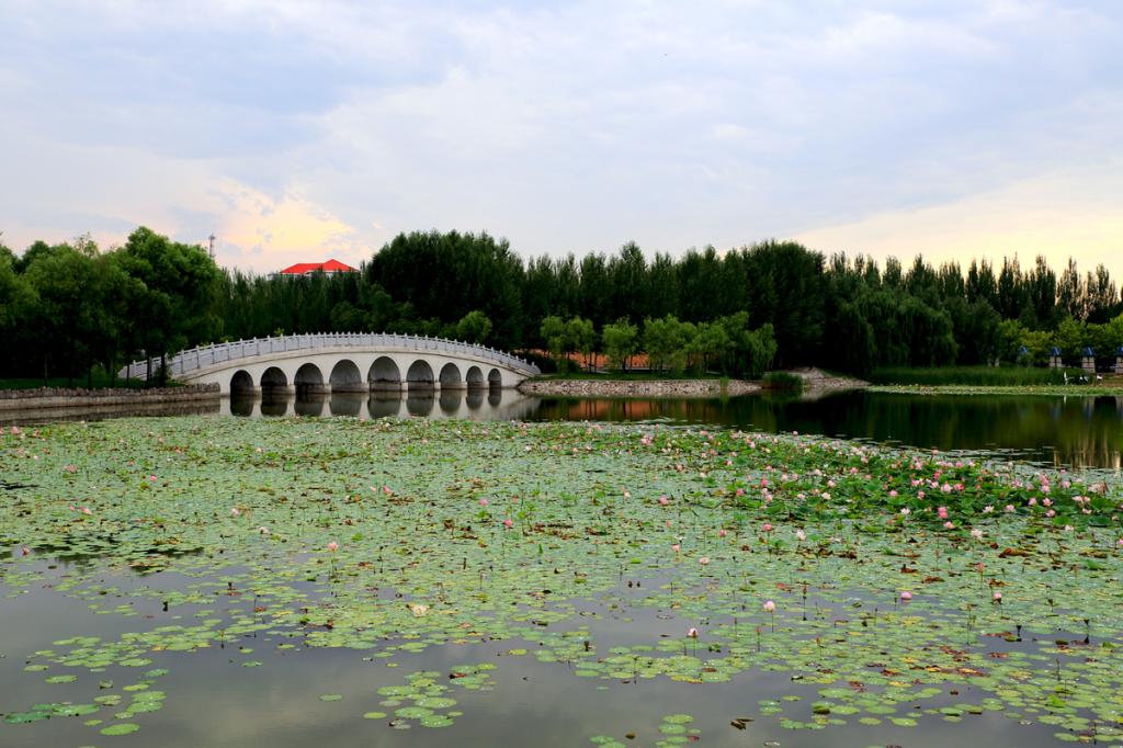 永利平台app下载