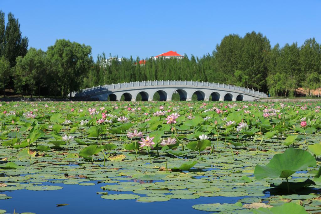 永利平台app下载